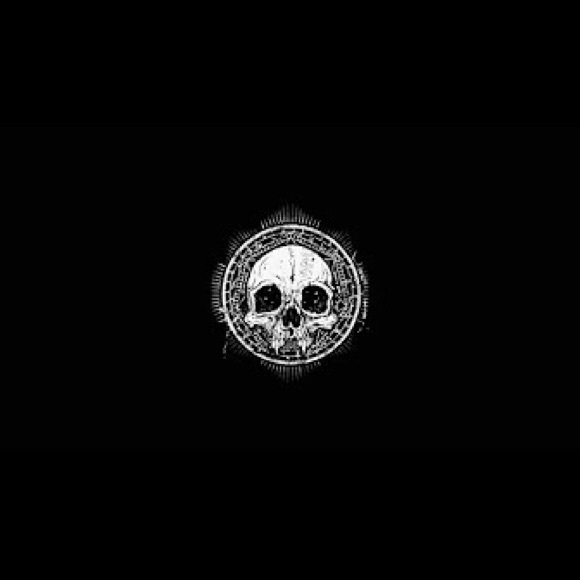 Meet your Posher, Brady - Picture 1 of 1